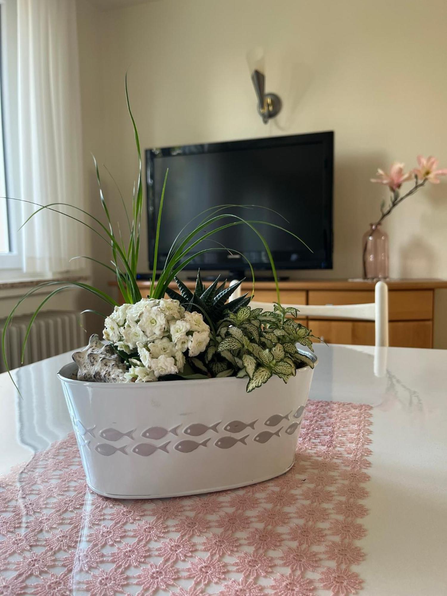 Schoene Wohnung, Bodenseenaehe 라벤스부르크 외부 사진